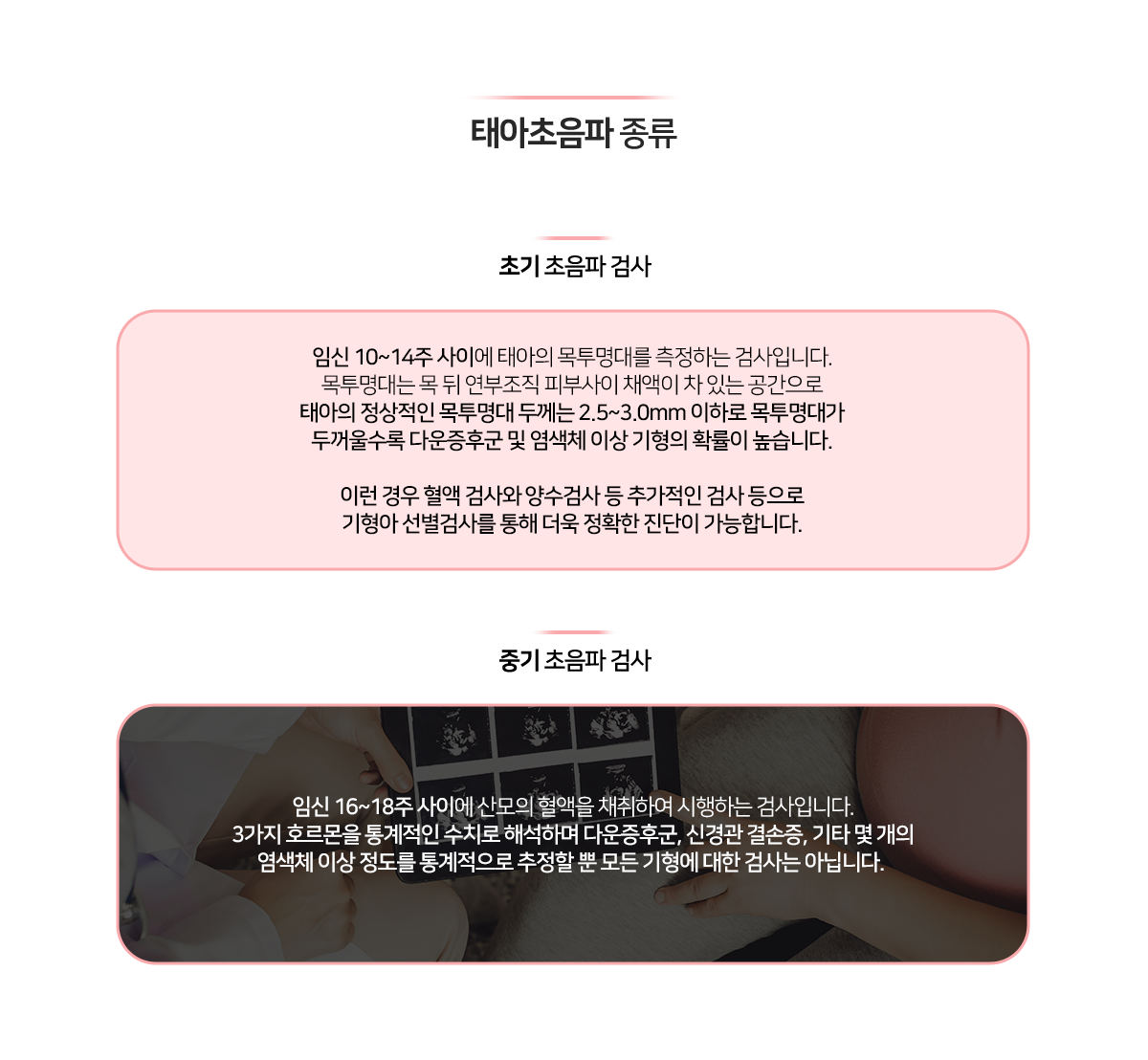 이미지명