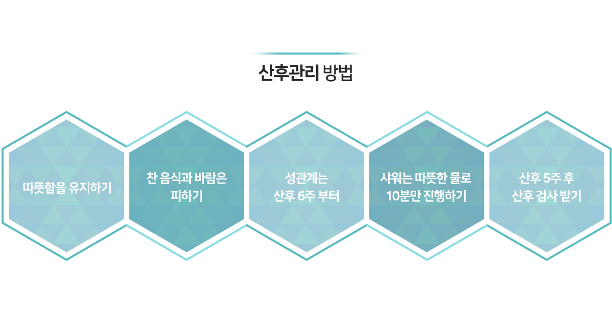 이미지명