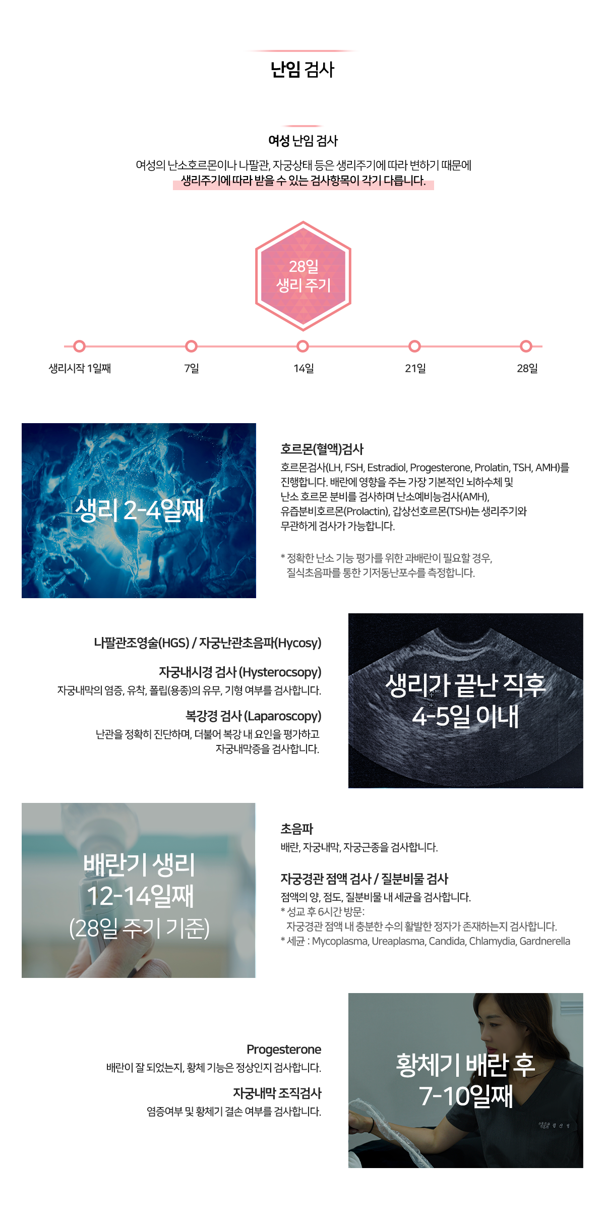 이미지명