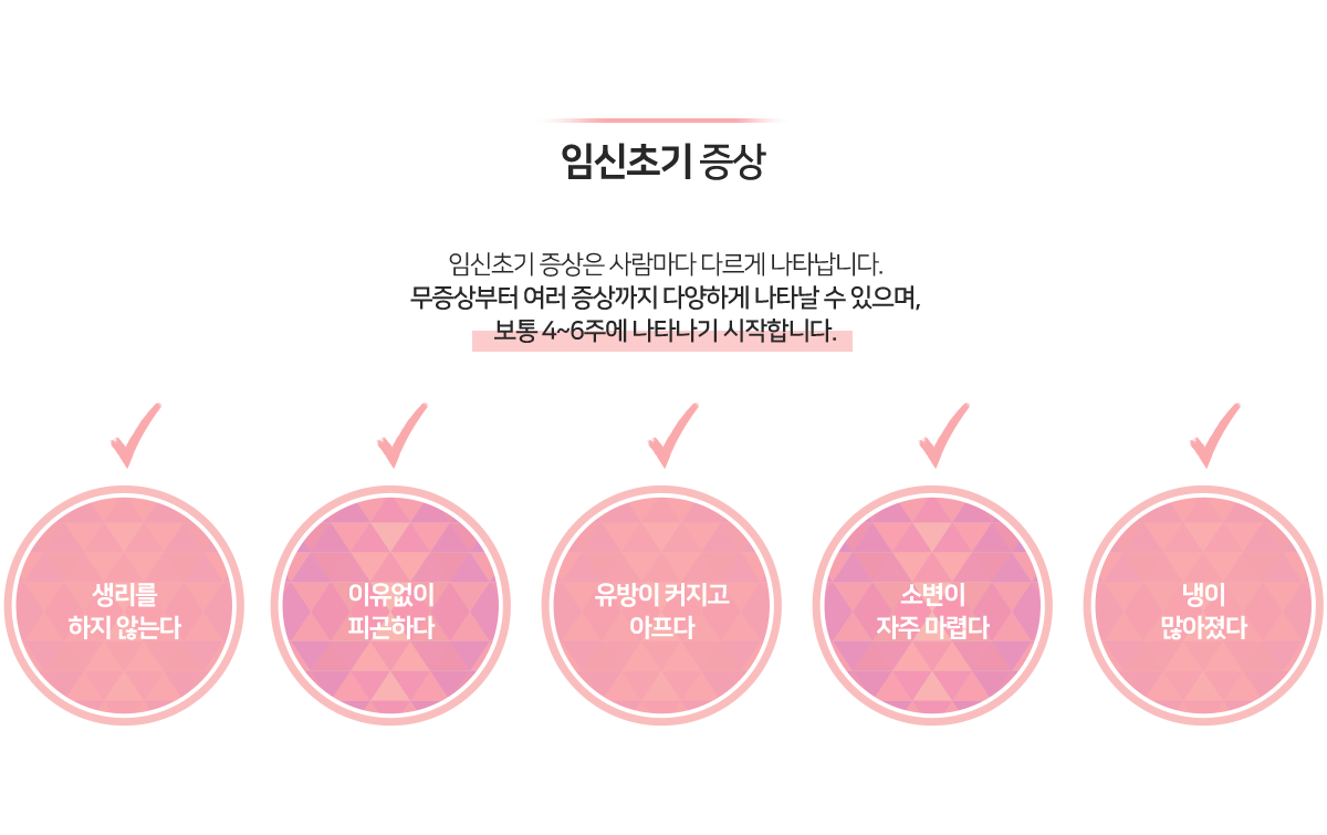 이미지명