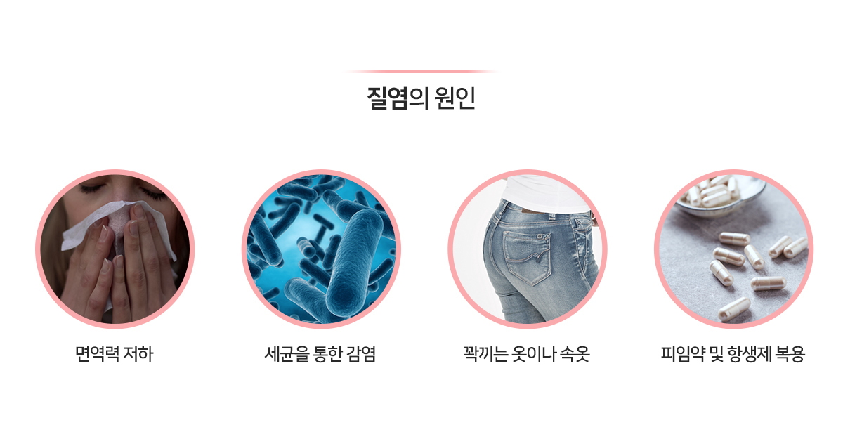 이미지명
