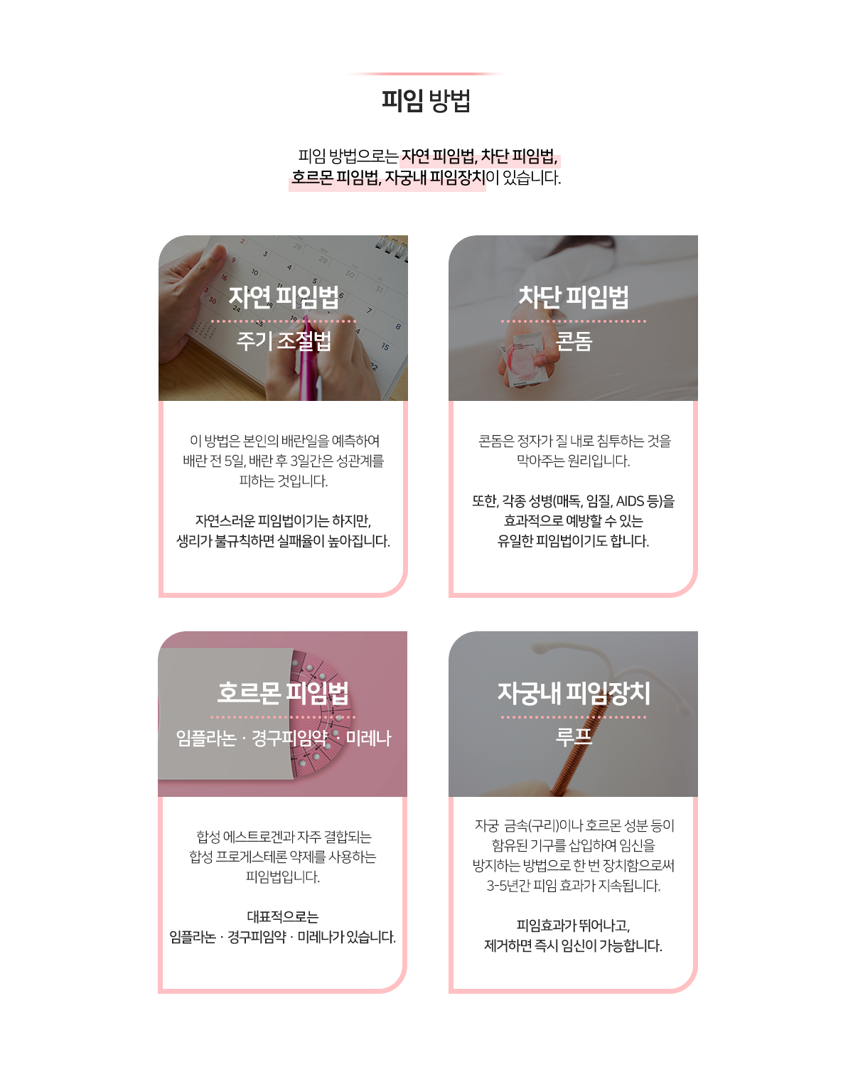 이미지명