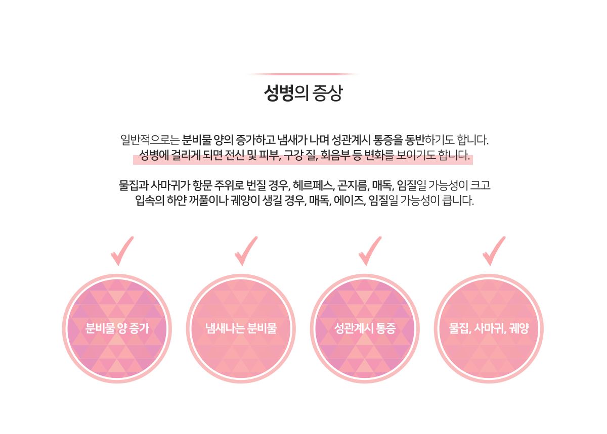 이미지명