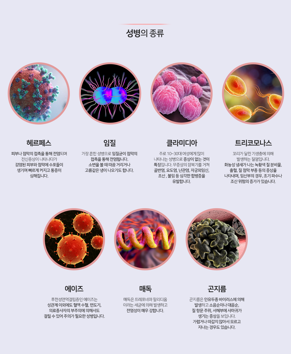 이미지명